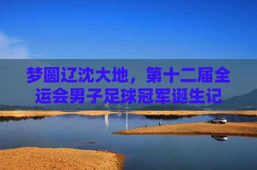 梦圆辽沈大地,第十二届全运会男子足球冠军诞生记