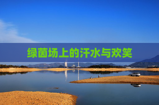 绿茵场上的汗水与欢笑