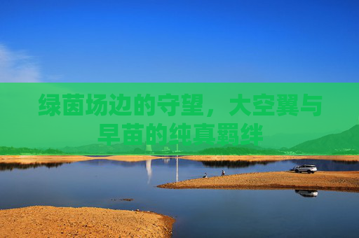 绿茵场边的守望,大空翼与早苗的纯真羁绊