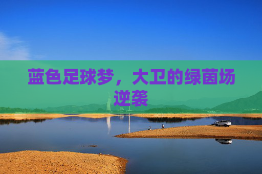 蓝色足球梦，大卫的绿茵场逆袭