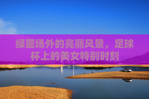 绿茵场外的亮丽风景,足球杯上的美女特别时刻