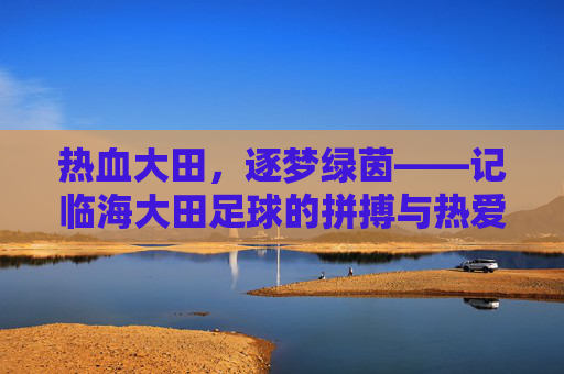 热血大田,逐梦绿茵——记临海大田足球的拼搏与热爱