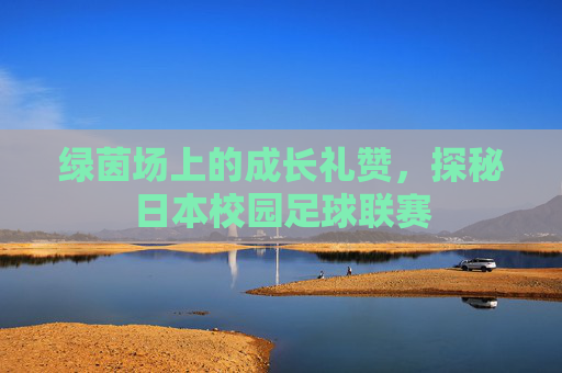 绿茵场上的成长礼赞，探秘日本校园足球联赛