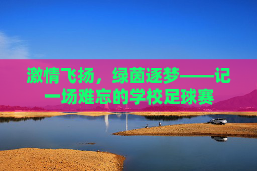 激情飞扬，绿茵逐梦——记一场难忘的学校足球赛