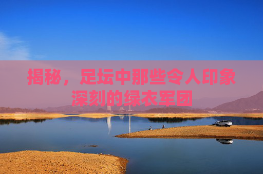 揭秘，足坛中那些令人印象深刻的绿衣军团