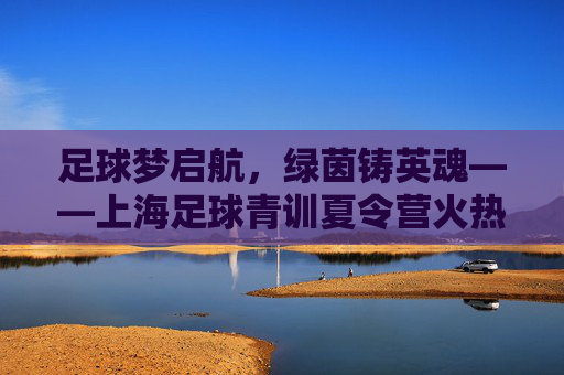 足球梦启航，绿茵铸英魂——上海足球青训夏令营火热招募中