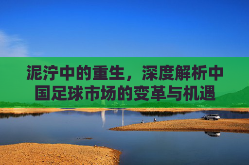 泥泞中的重生，深度解析中国足球市场的变革与机遇