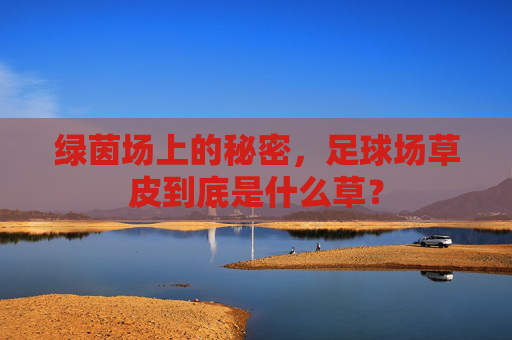 绿茵场上的秘密，足球场草皮到底是什么草？