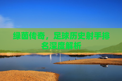 绿茵传奇,足球历史射手排名深度解析