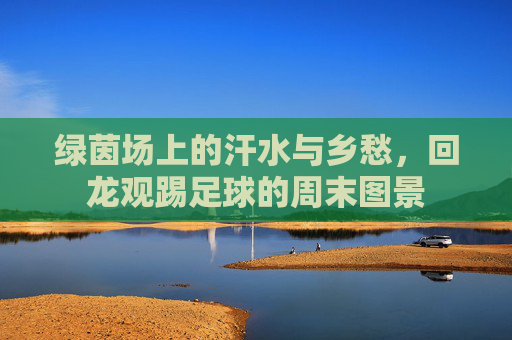 绿茵场上的汗水与乡愁,回龙观踢足球的周末图景