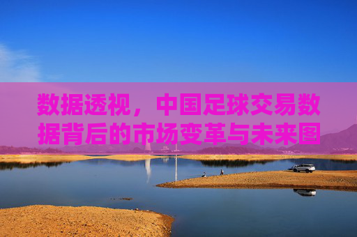 数据透视，中国足球交易数据背后的市场变革与未来图景