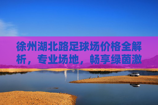 徐州湖北路足球场价格全解析，专业场地，畅享绿茵激情