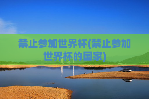 禁止参加世界杯(禁止参加世界杯的国家)