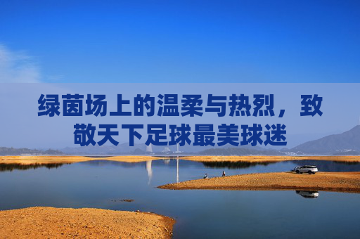 绿茵场上的温柔与热烈,致敬天下足球最美球迷