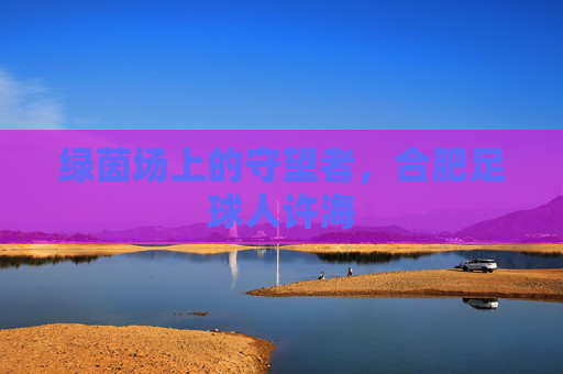 绿茵场上的守望者，合肥足球人许海