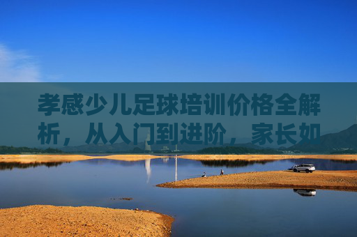 孝感少儿足球培训价格全解析，从入门到进阶，家长如何花对钱？