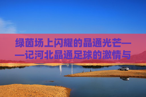 绿茵场上闪耀的晶通光芒——记河北晶通足球的激情与坚守