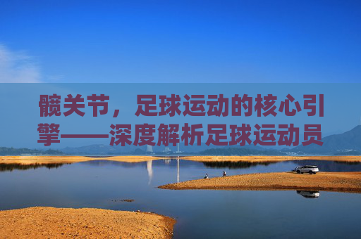 髋关节,足球运动的核心引擎——深度解析足球运动员髋关节训练体系