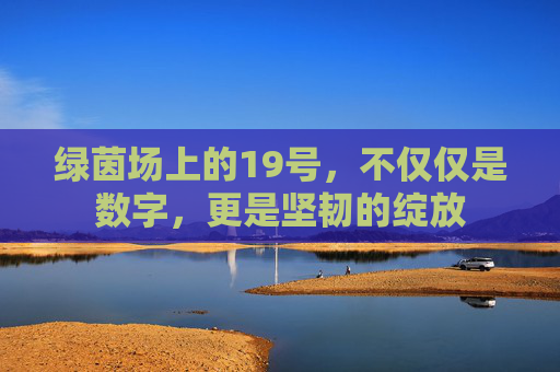 绿茵场上的19号,不仅仅是数字,更是坚韧的绽放