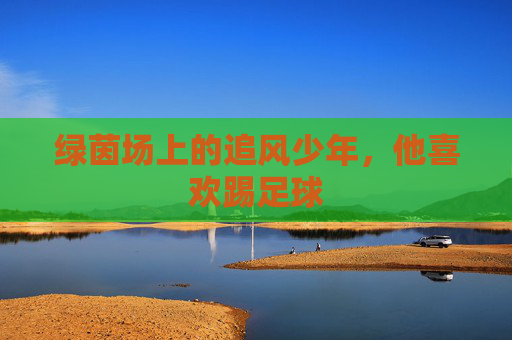 绿茵场上的追风少年,他喜欢踢足球