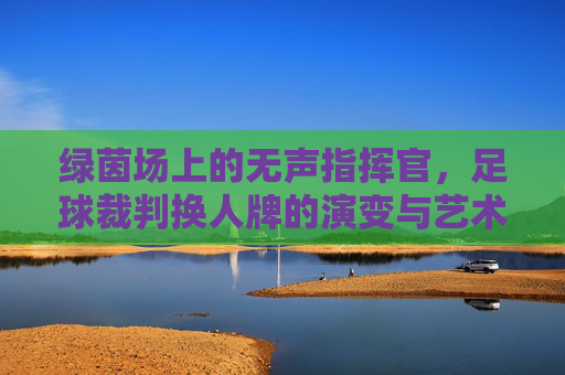 绿茵场上的无声指挥官,足球裁判换人牌的演变与艺术