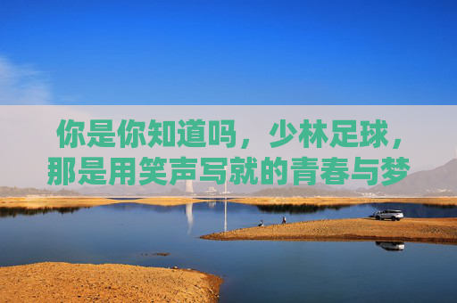 你是你知道吗,少林足球,那是用笑声写就的青春与梦想