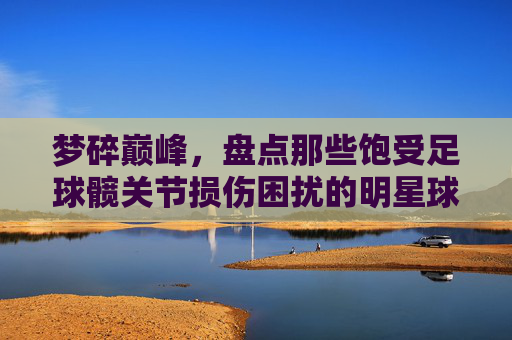 梦碎巅峰,盘点那些饱受足球髋关节损伤困扰的明星球员