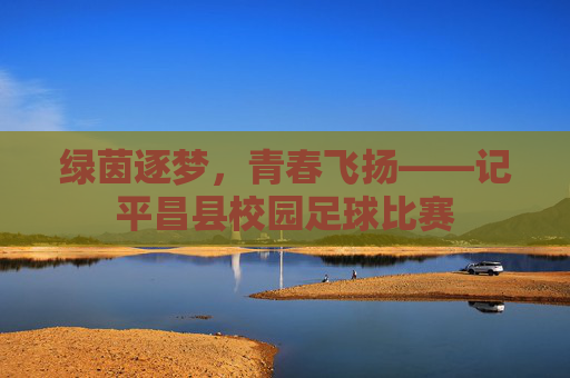 绿茵逐梦，青春飞扬——记平昌县校园足球比赛