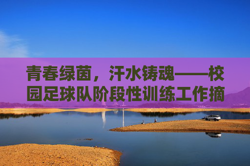 青春绿茵,汗水铸魂——校园足球队阶段性训练工作摘要