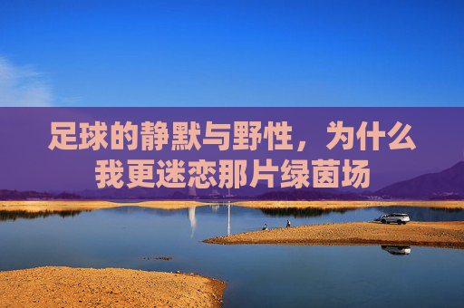 足球的静默与野性,为什么我更迷恋那片绿茵场