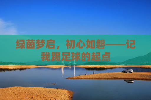 绿茵梦启,初心如磐——记我踢足球的起点