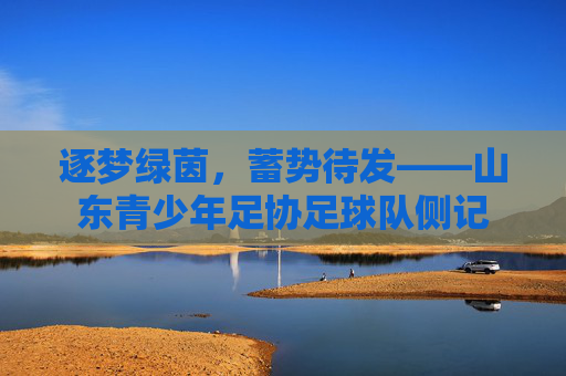 逐梦绿茵，蓄势待发——山东青少年足协足球队侧记