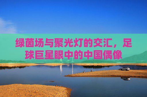 绿茵场与聚光灯的交汇，足球巨星眼中的中国偶像