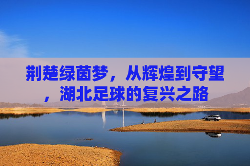 荆楚绿茵梦,从辉煌到守望,湖北足球的复兴之路