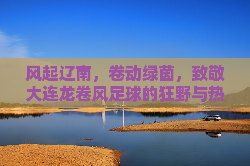 风起辽南，卷动绿茵，致敬大连龙卷风足球的狂野与热血