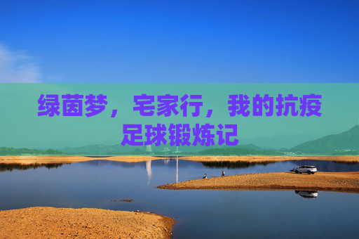 绿茵梦,宅家行,我的抗疫足球锻炼记