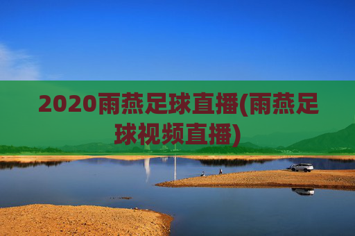 2020雨燕足球直播(雨燕足球视频直播)