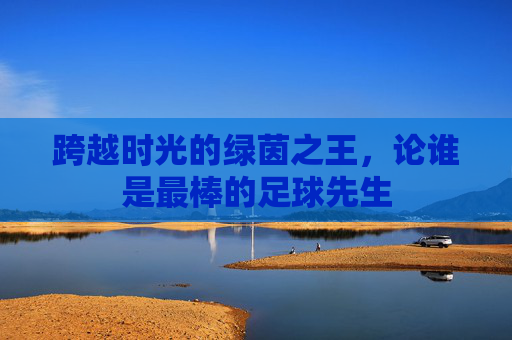 跨越时光的绿茵之王,论谁是最棒的足球先生