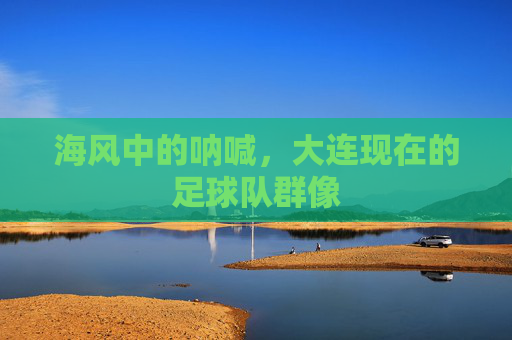 海风中的呐喊，大连现在的足球队群像
