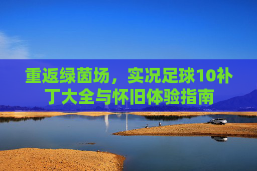 重返绿茵场,实况足球10补丁大全与怀旧体验指南