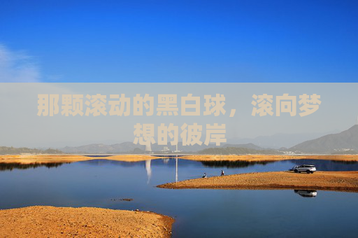 那颗滚动的黑白球,滚向梦想的彼岸