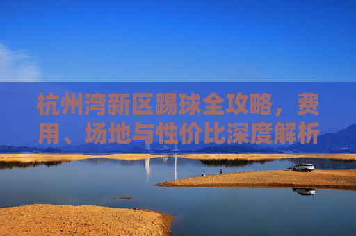 杭州湾新区踢球全攻略,费用、场地与性价比深度解析