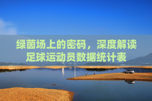 绿茵场上的密码，深度解读足球运动员数据统计表