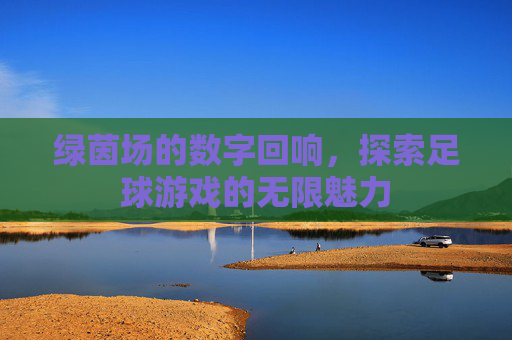 绿茵场的数字回响,探索足球游戏的无限魅力