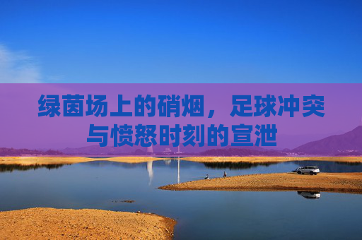 绿茵场上的硝烟,足球冲突与愤怒时刻的宣泄