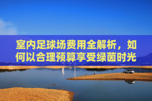 室内足球场费用全解析,如何以合理预算享受绿茵时光?