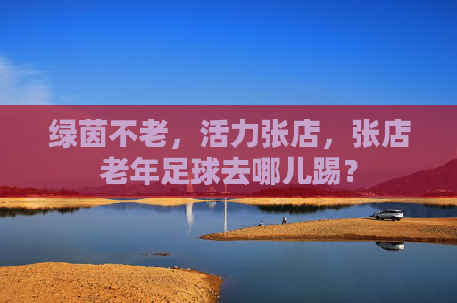 绿茵不老,活力张店,张店老年足球去哪儿踢?