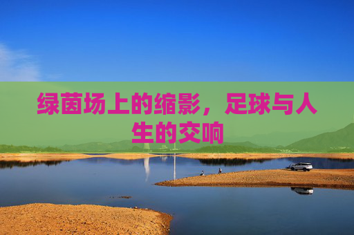 绿茵场上的缩影,足球与人生的交响