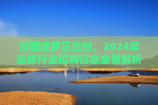 绿茵逐梦正当时，2024年足球行业招聘信息全景解析与职业机遇展望