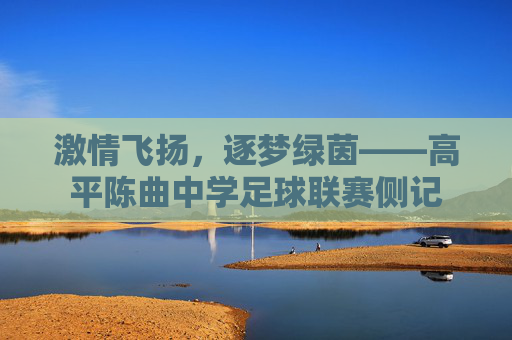 激情飞扬，逐梦绿茵——高平陈曲中学足球联赛侧记